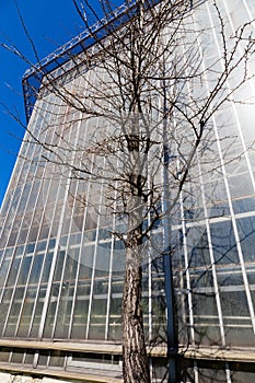 Greenhouse in sankt-peterburg botanic garden