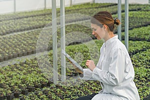 Greenhouse Seedlings Growth. Female Agricultural Engineer