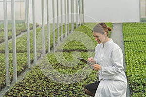 Greenhouse Seedlings Growth. Female Agricultural Engineer