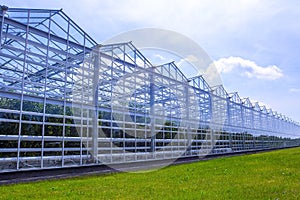 Greenhouse