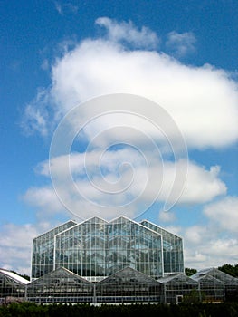 Greenhouse and The Sky â€“ 3