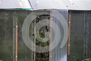 greenhouse with a smashed window