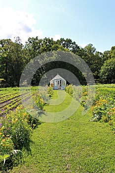 A greenhouse surrounded by greenery