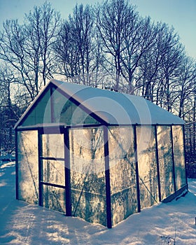 Greenhouse in Sweden