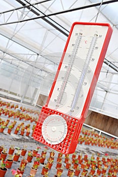 Greenhouse thermometer