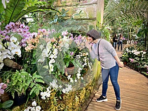 Greenhouse with tropical plants with flowers.