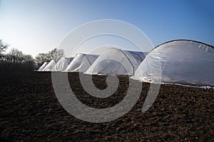 greenhouse tunnels from polythene plastic in a row on an agricultural field against the blue sky, copy space