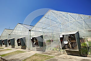 Greenhouse under blue sky