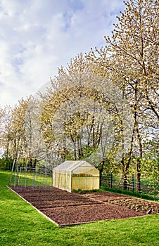 Greenhouse under cherry blossom trees