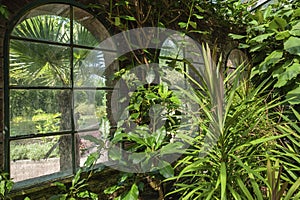 Greenhouse in the Villa Taranto Botanical Gardens in Verbania. Province of Piedmont in Northern Italy