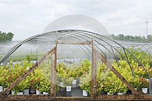 Greenhouse watering system in Action