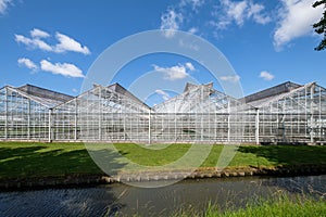 Greenhouse in Westland, the Netherlands