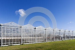 Greenhouse in Westland in the Netherlands