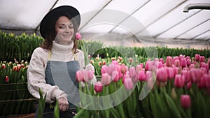 Greenhouse worker girl in hat cuts pink tulips in the greenhouse for sale. Small business. Spring concept, gardening.