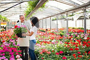 Greenhouse worker giving a plant to a customer