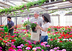 Greenhouse worker giving a plant to a customer