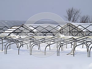 Greenhouses