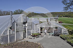 Greenhouses photo