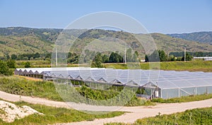 Greenhouses