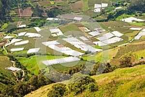 Greenhouses In Andes