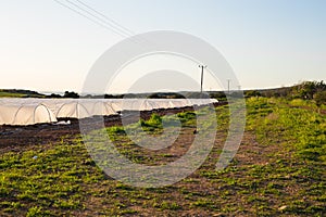 Greenhouses in country garden in spring