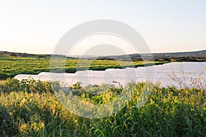 Greenhouses in country garden in spring