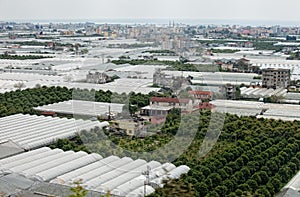 Greenhouses by Demre Turkey