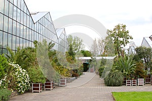 Greenhouses and exotic plants Botanical Gardens, Netherlands