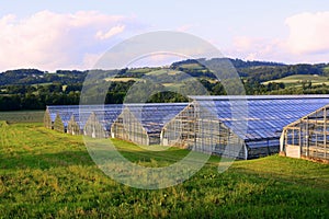 Greenhouses in the field photo
