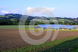 Greenhouses in the field photo