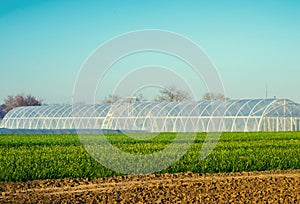 Greenhouses in the field for seedlings of crops, fruits, vegetables, lending to farmers, farmlands, agriculture, rural areas, agro photo