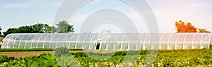 Greenhouses in the field for seedlings of crops, fruits, vegetables, lending to farmers, farmlands, agriculture, rural areas, agro