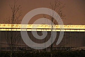 Greenhouses lit up orange by assimilation light to accelerate growth in Waddinxveen