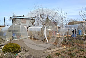 Greenhouses made of honeycomb polycarbonate in a summer cottage. Spring