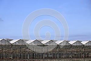 Greenhouses on part of the Zuidplaspolder at the green natural zone