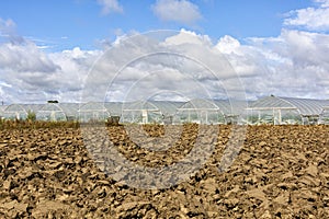Greenhouses tunnel covered with transparent polythene plastic film, growing green vegetable plants. Agricultural field, prepared