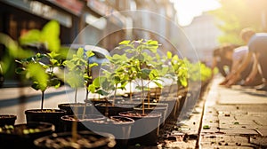 Greening city: community tree planting along busy streets