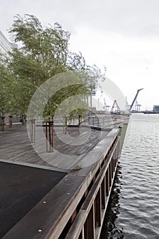 Greening the pier with trees and twilight on the beach in the city of Ã…rhus