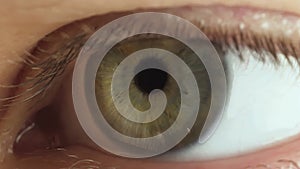 Greenish male eye macro shot, different emotions, looks around. Eyelashes