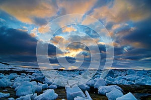 Greenland icecubes