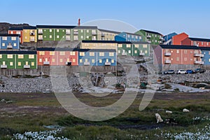 Greenland Ilulissat color house