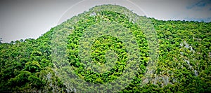 GreenNature mountain mount flora