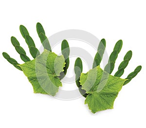 Greenpeace spring Ecological symbol hand of natu photo