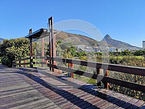 Greenpoint Park in Cape Town, South Africa overlooking Signal Hill and Lion's Head