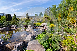 Greens of bushes and trees in the park and a small pond lying between them with large stones