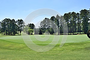 Greens and fairway on golf course, Georgia, USA