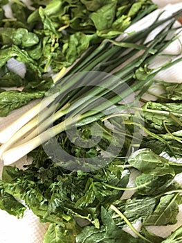 Greens food. Onion, basil, parsley, dill