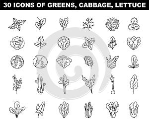 Greens, lettuce and cabbage black and white icons set. Vegetable salad