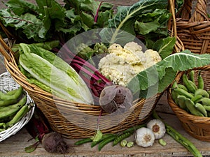 Greens and other vegetables