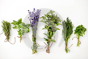 Greens, spices or medicinal herbs on white